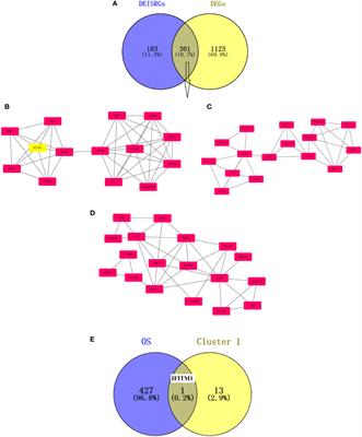 Integrated bioinformatics analysis of IFITM1 as a prognostic biomarker and investigation of its immunological role in prostate adenocarcinoma